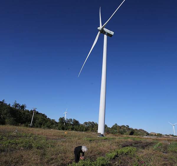 massachusetts wind turbine installations
